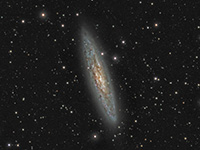 NGC253