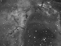Rosette Nebula